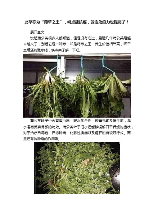 此草称为“药草之王”，喝点能抗癌，就连免疫力也提高了！