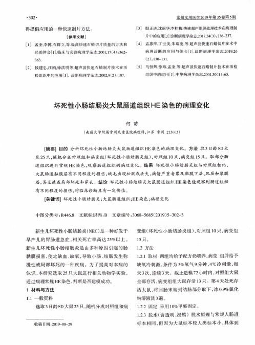 坏死性小肠结肠炎大鼠肠道组织he染色的病理变化