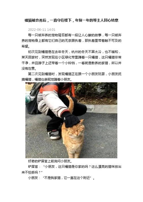 橘猫被弃养后，一直守在楼下，年复一年的等主人回心转意