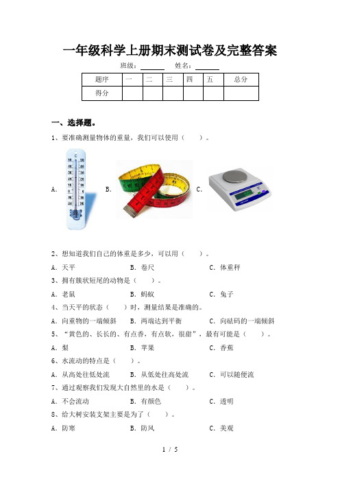 一年级科学上册期末测试卷及完整答案