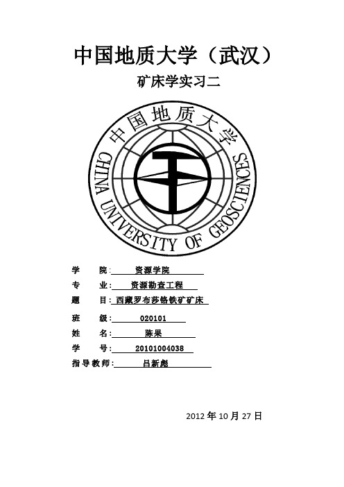 西藏罗布莎铬铁矿矿床