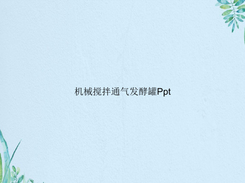 机械搅拌通气发酵罐Ppt