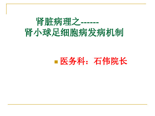 肾小球足细胞病发病机制