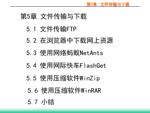 internet实用技术第5章精品PPT课件