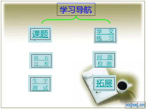 语文三年级下北师大版6-1《天外来客—陨石》课件(23张)