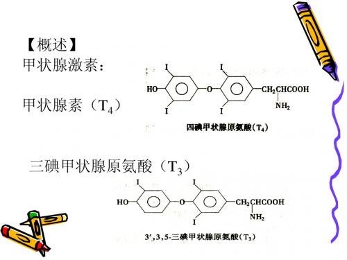 甲状腺激素与抗甲状腺药物