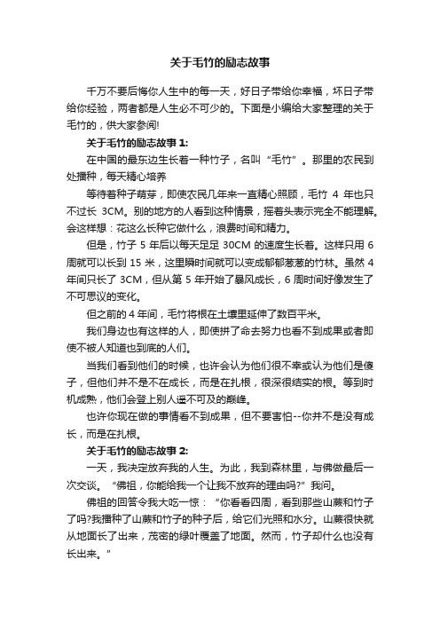 关于毛竹的励志故事