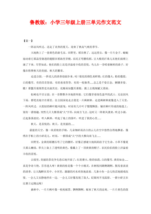 鲁教版:小学三年级上册三单元作文范文