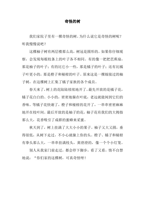 奇怪的树