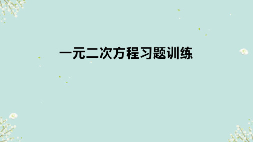 第21章一元二次方程应用题习题训练课件人教版数学九年级上册