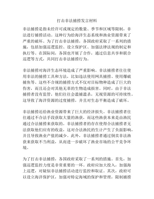 打击非法捕捞发言材料