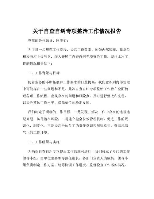 关于自查自纠专项整治工作情况报告