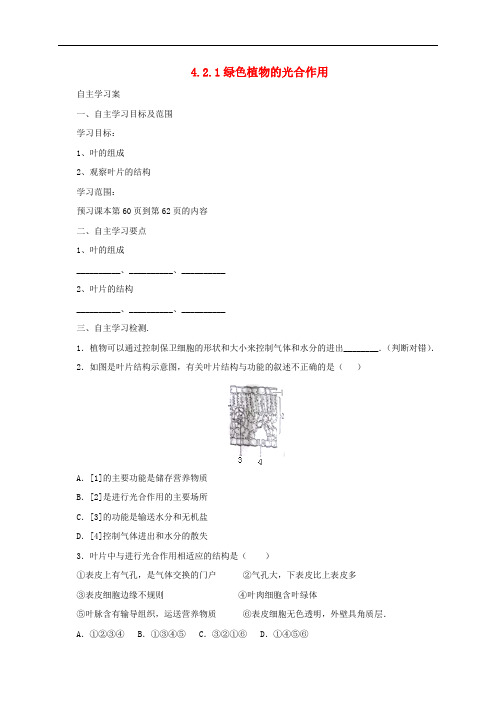 七年级生物上册 4.2 绿色植物的光合作用学案1 北京课改版