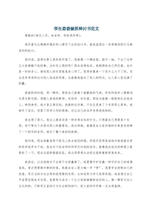 学生盗窃被抓检讨书范文