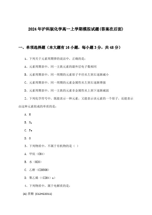 沪科版化学高一上学期试题及解答参考(2024年)