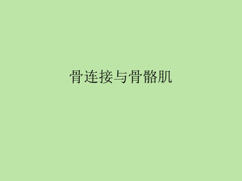 骨连接与骨骼肌 教学课件 苏科版