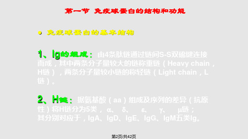 细胞与分子免疫学研究生免疫球蛋白