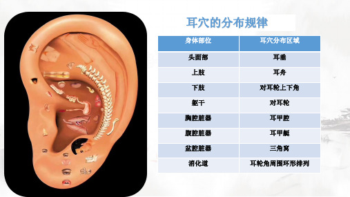 神奇的耳穴疗法穴位篇