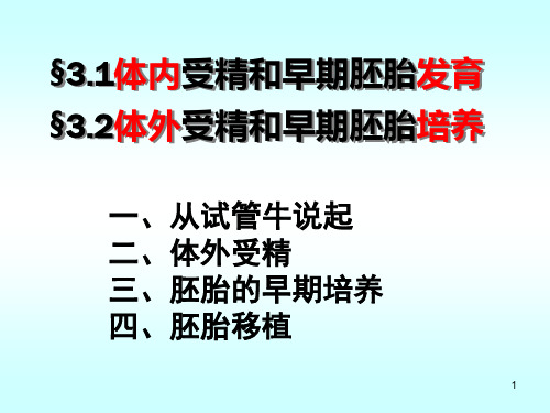 体外受精和早期胚胎培养医学PPT课件