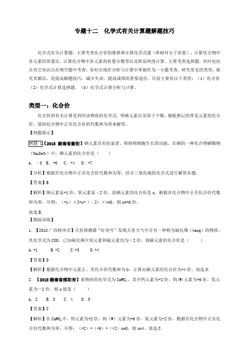 专题十二化学式有关计算题解题技巧-解析卷