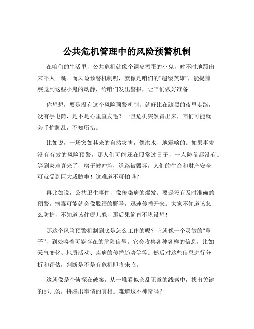 公共危机管理中的风险预警机制