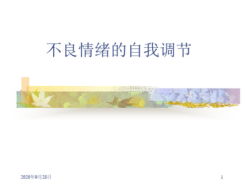 不良情绪的自我调节PPT课件