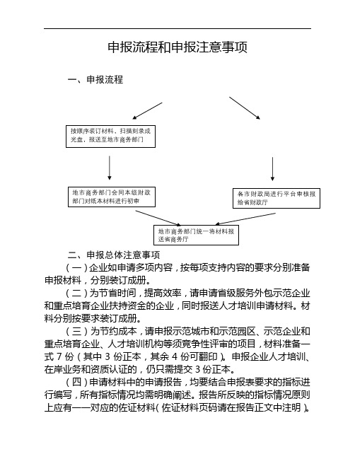 申报流程和申报注意事项【模板】