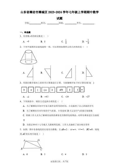 山东省潍坊市潍城区2023-2024学年七年级上学期期中数学试题