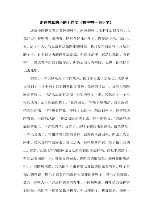 走在深秋的小路上作文(初中初一800字).doc
