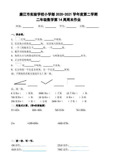 广东省廉江市实验学校二年级下学期数学第14周周末作业