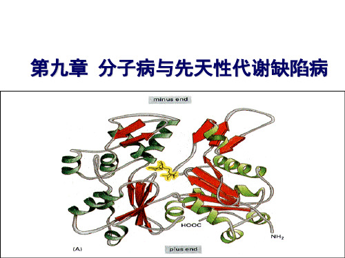 分子病