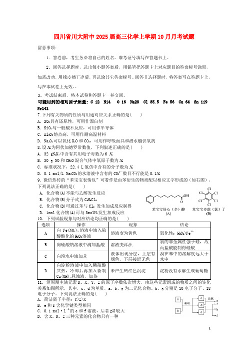 四川省川大附中2025届高三化学上学期10月月考试题