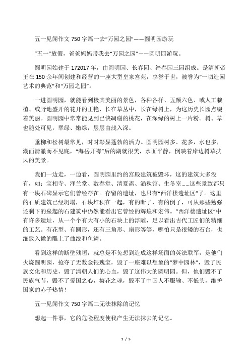 五一节见闻作文五篇