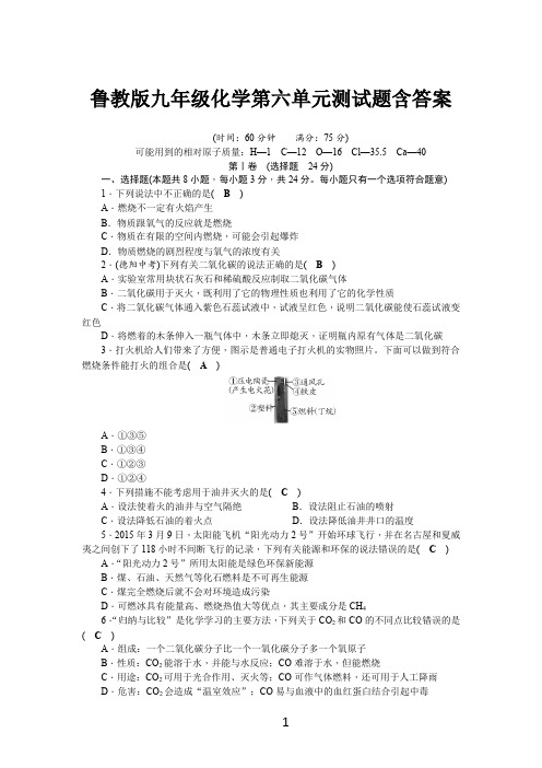 鲁教版九年级化学第六单元测试题含答案