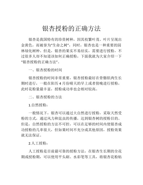 银杏授粉的正确方法