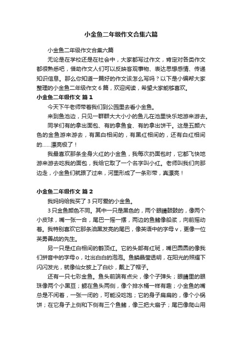 小金鱼二年级作文合集六篇