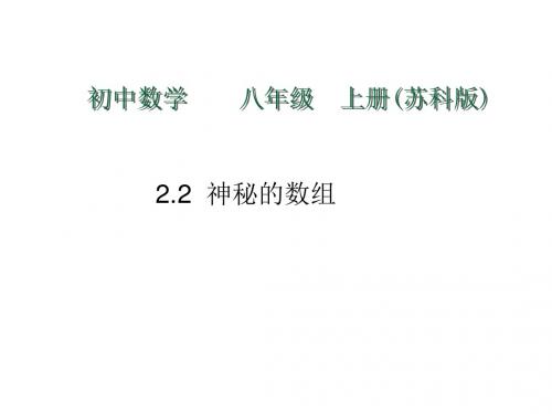 八年级数学神秘的数组(新编2019)