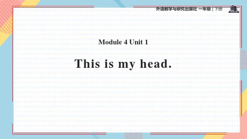 《This is my head》PPT精品课件