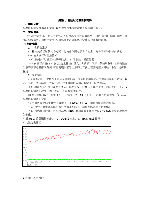 实验七 胃肠运动的直接观察