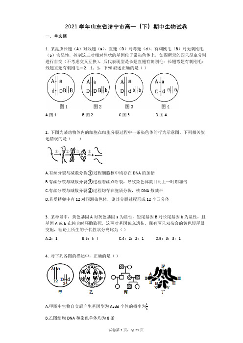 2021学年山东省济宁市高一(下)期中生物试卷(有答案)