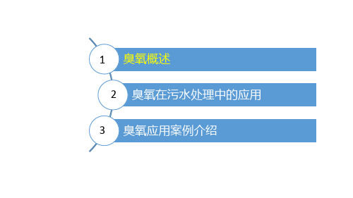 臭氧在污水处理中的应用参考文档