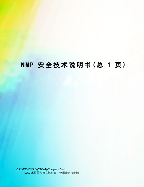 NMP安全技术说明书