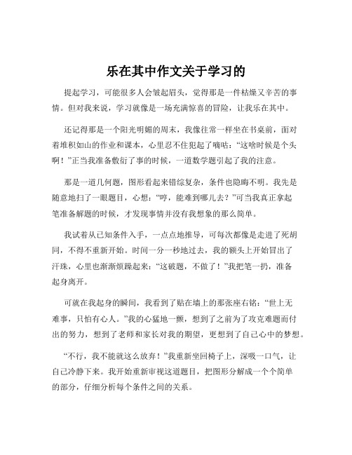 乐在其中作文关于学习的