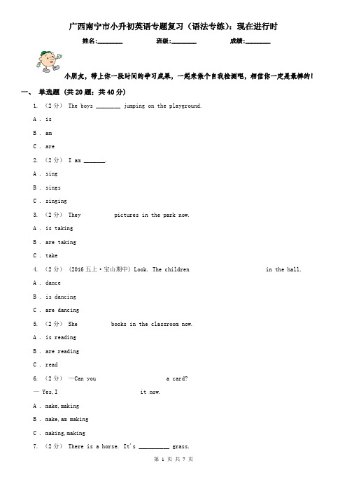 广西南宁市小升初英语专题复习(语法专练)：现在进行时