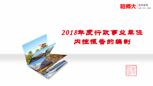 2018年内控报告的编制说明--财政局会计股(1)