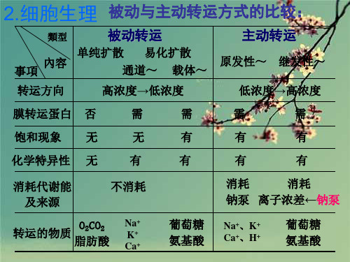 生理学重点总结.ppt