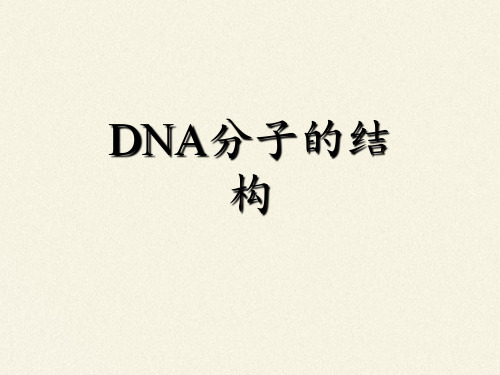 高中生物必修二课件-4.2.1DNA分子的结构-苏教版