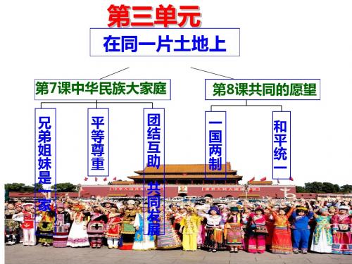 好7教科版道德与法治九年级下册 第七课 中华民族大家庭 课件(共47张PPT)
