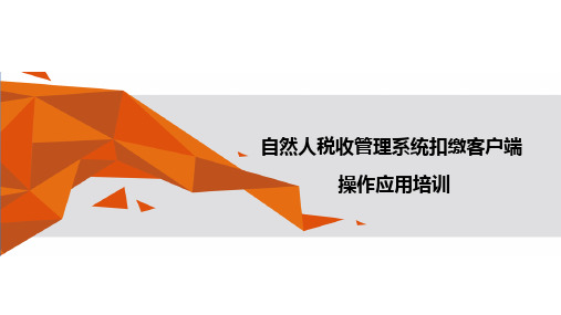 2018自然人税收管理系统扣缴客户端18.8.21