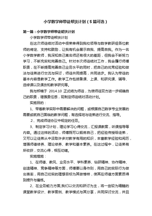 小学数学师带徒帮扶计划（5篇可选）